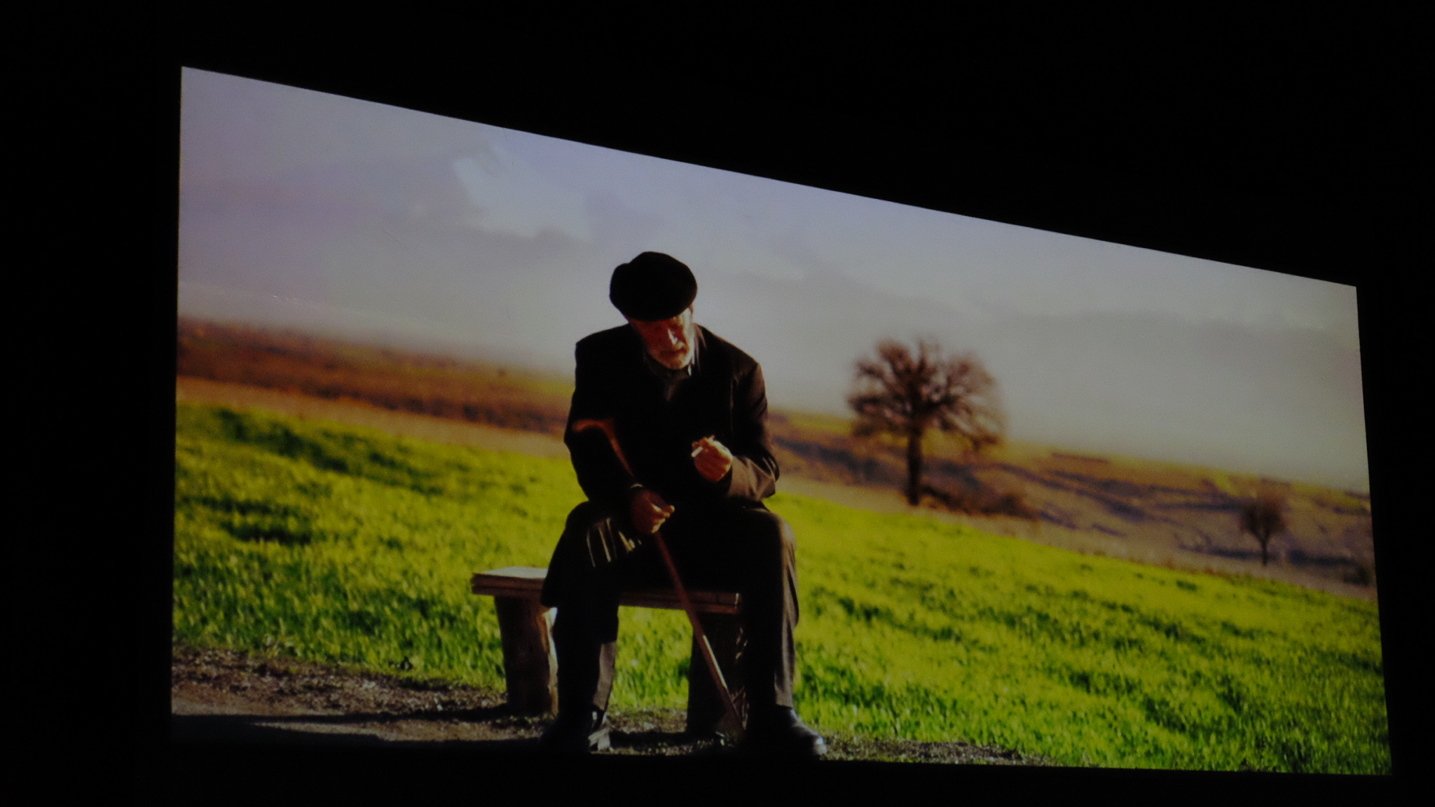 Vëllau i vogël po të shikon