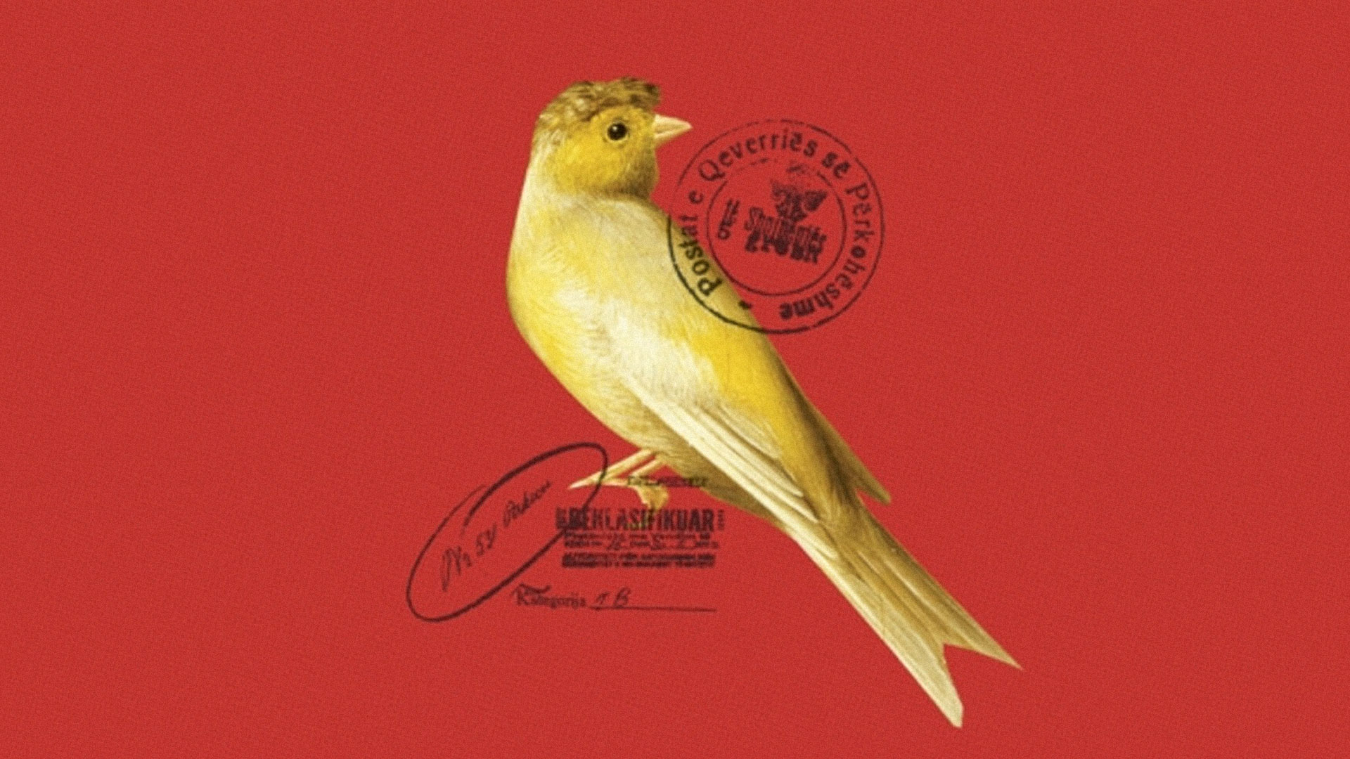 Lea Ypi: Dostojanstvo nije nešto što čeka da se povrati iz prošlosti