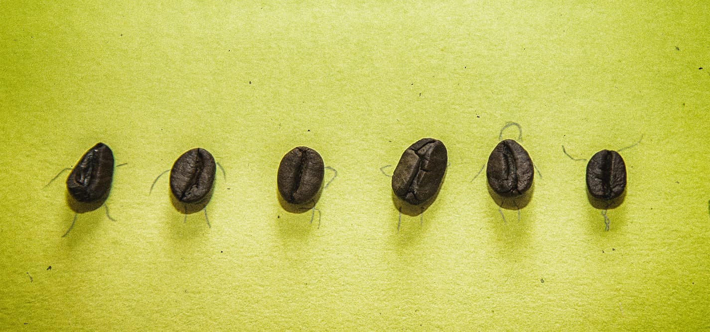 Coffee culture is rooted in our society