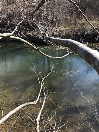 <p style="font-size: 20px; font-weight: bold;">29</p><br />
<br />
Shkova për peshkim në lumin Krivaja. I zura gjashtë, i lëshova tre. Kur mbërrita buzë lumit e hoqa maskën dhe menjëherë harrova marrëzirat e Sarajevës.<br />
<br />
Fuqia shpëtimtare e peshkimit dhe soditjes së ujit, i rrethuar me një lloj tjetër të qetësisë, të ndryshme nga ajo e panatyrshmja që gjendet në një qendër urbane, është e tillë që më bëri t’i them vetes çfarë Leonard Kohen i tha vetes disa ditë para vdekjes: “Jam gati të vdes”.<br />
<br />
<p style="font-size: 20px; font-weight: bold;">30</p><br />
<br />
Pas disa muajsh, të gjithë do të jemi hipi.<br />
<br />
Globetrotter (dikush që udhëton anekënd botës) është fjalë e vdekur.