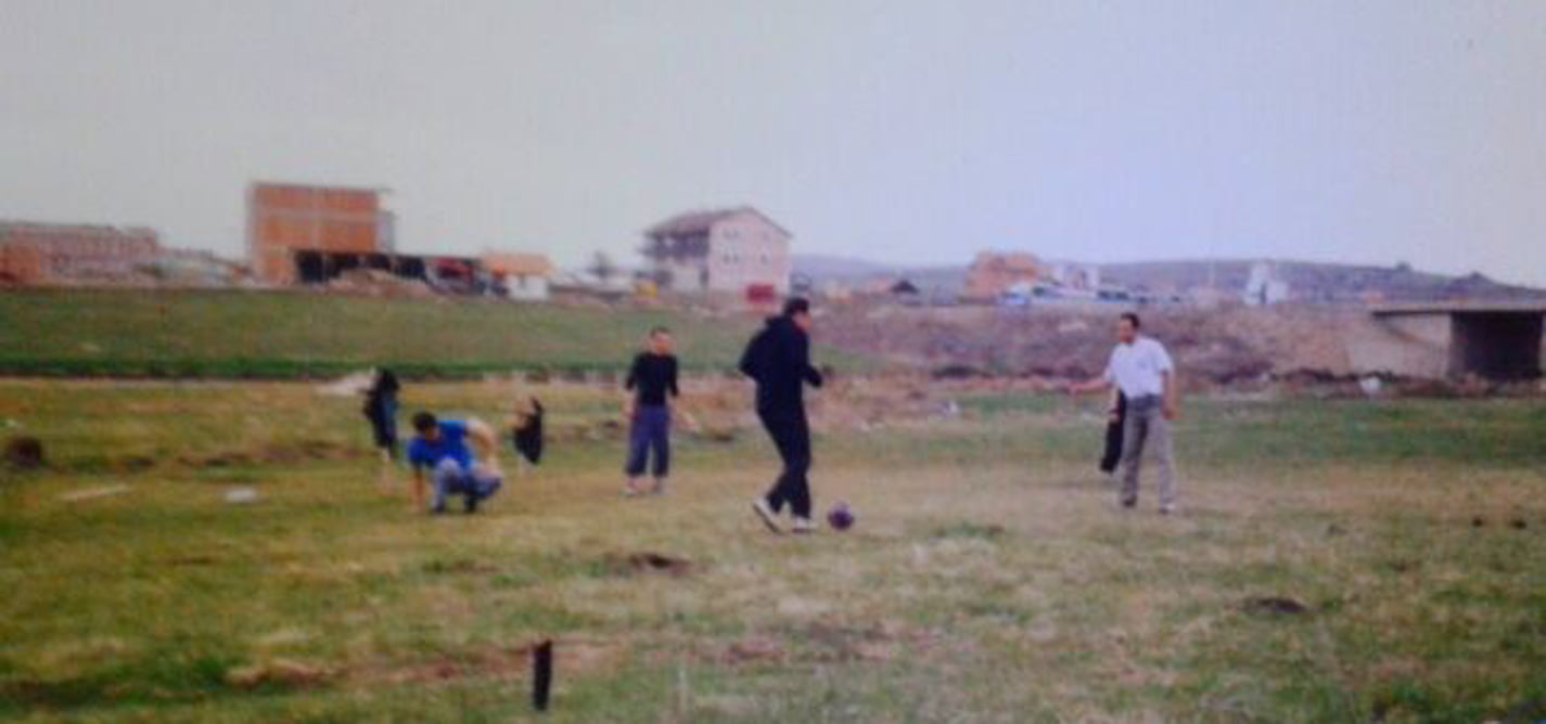 The parallel lives of crows