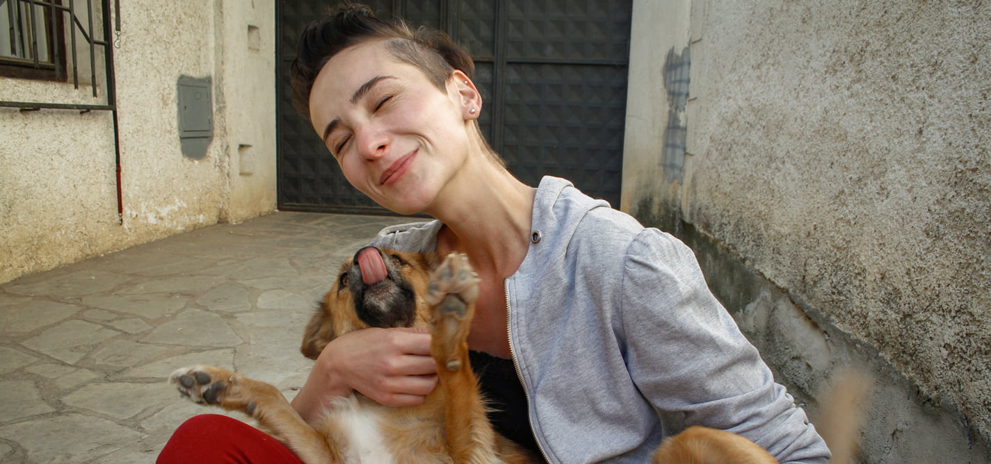 A Kosovar dog, operated on in Serbia