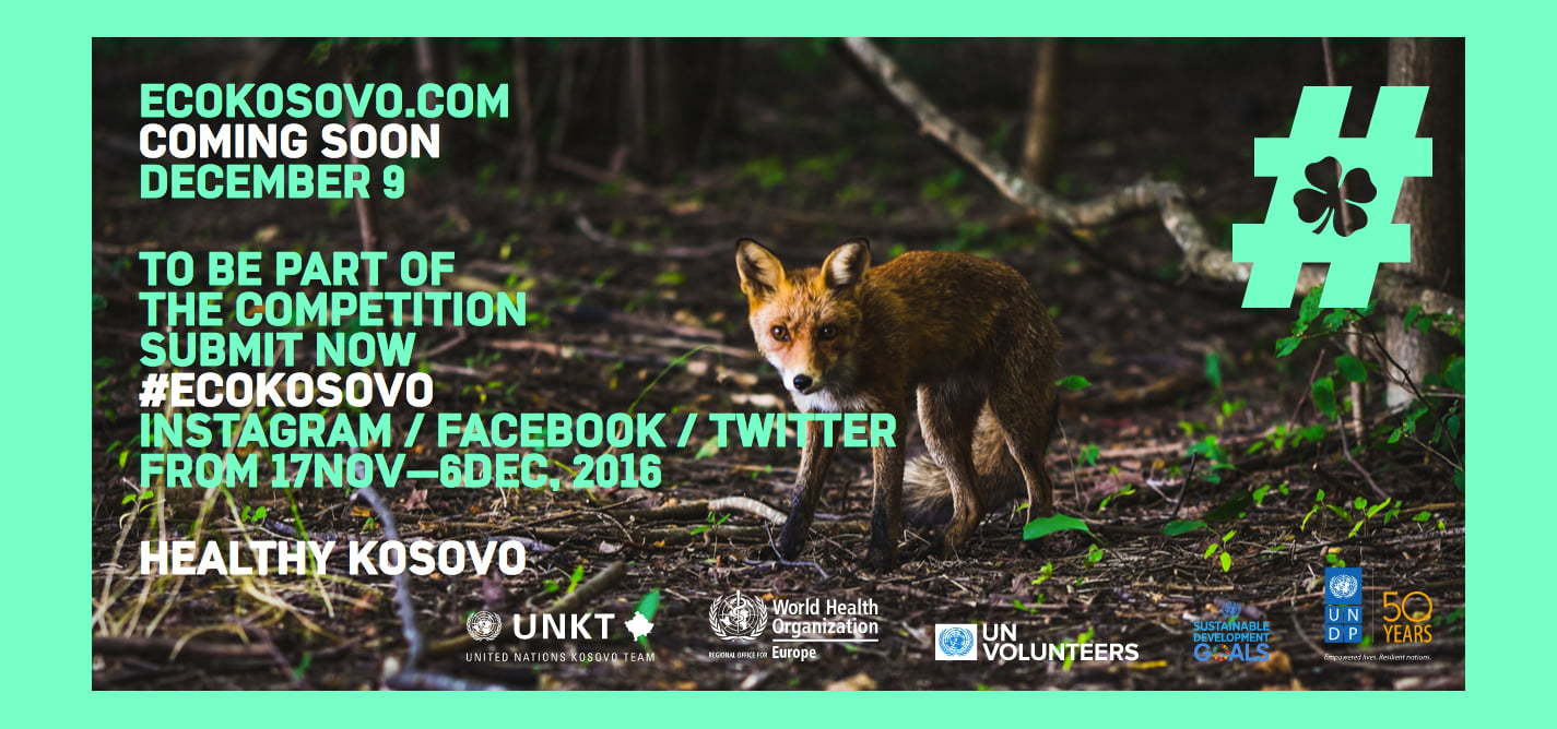 Photo campaign focuses on environment and health