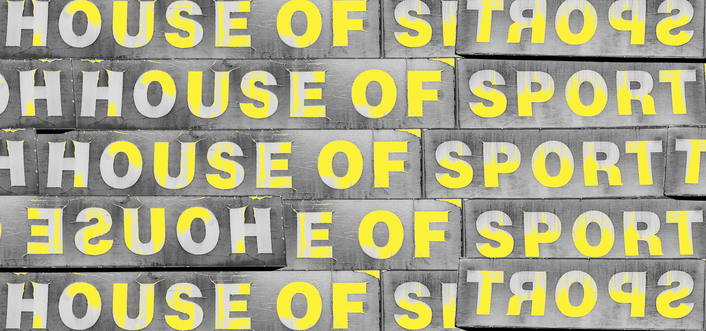 Velika izborna pitanja: Sport