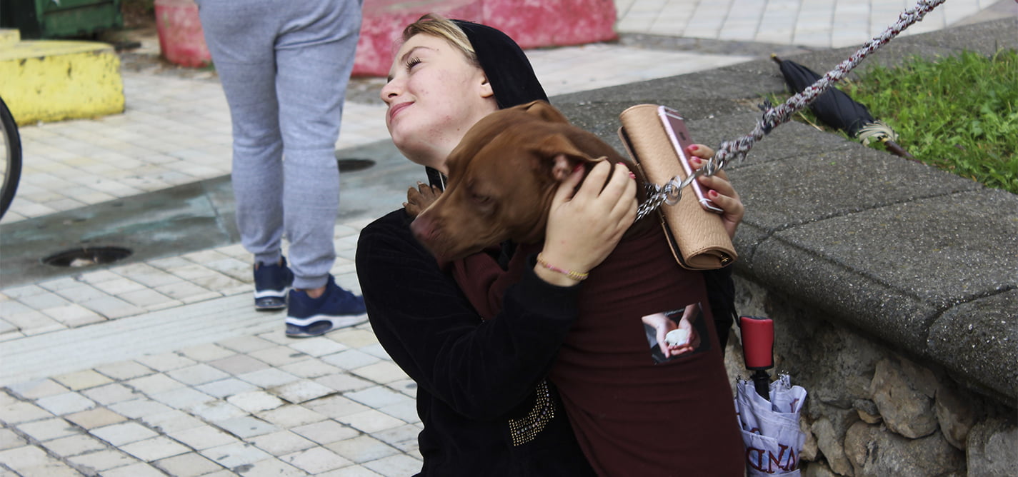 Fokus na prava životinja u Albaniji