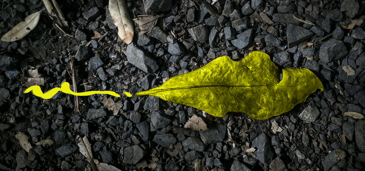 Shtyhet afati i aplikimit: Bursa për Gazetari në fushën e të Drejtave të Njeriut