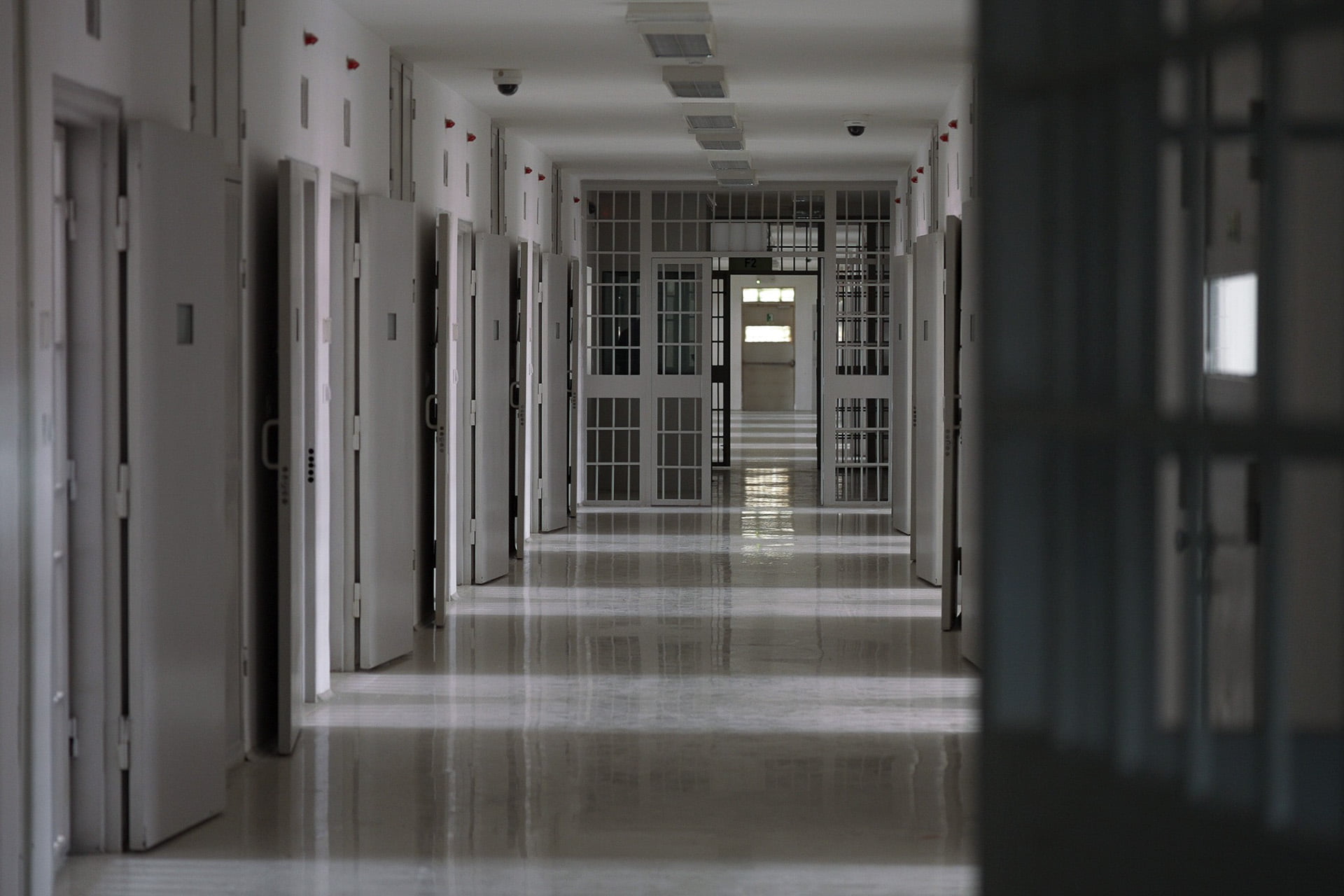 Të lirë, por të përjashtuar