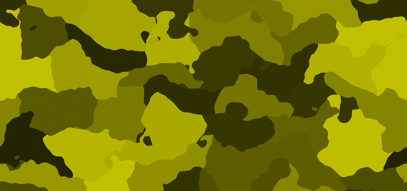 Temat e mëdha zgjedhore: Ushtria