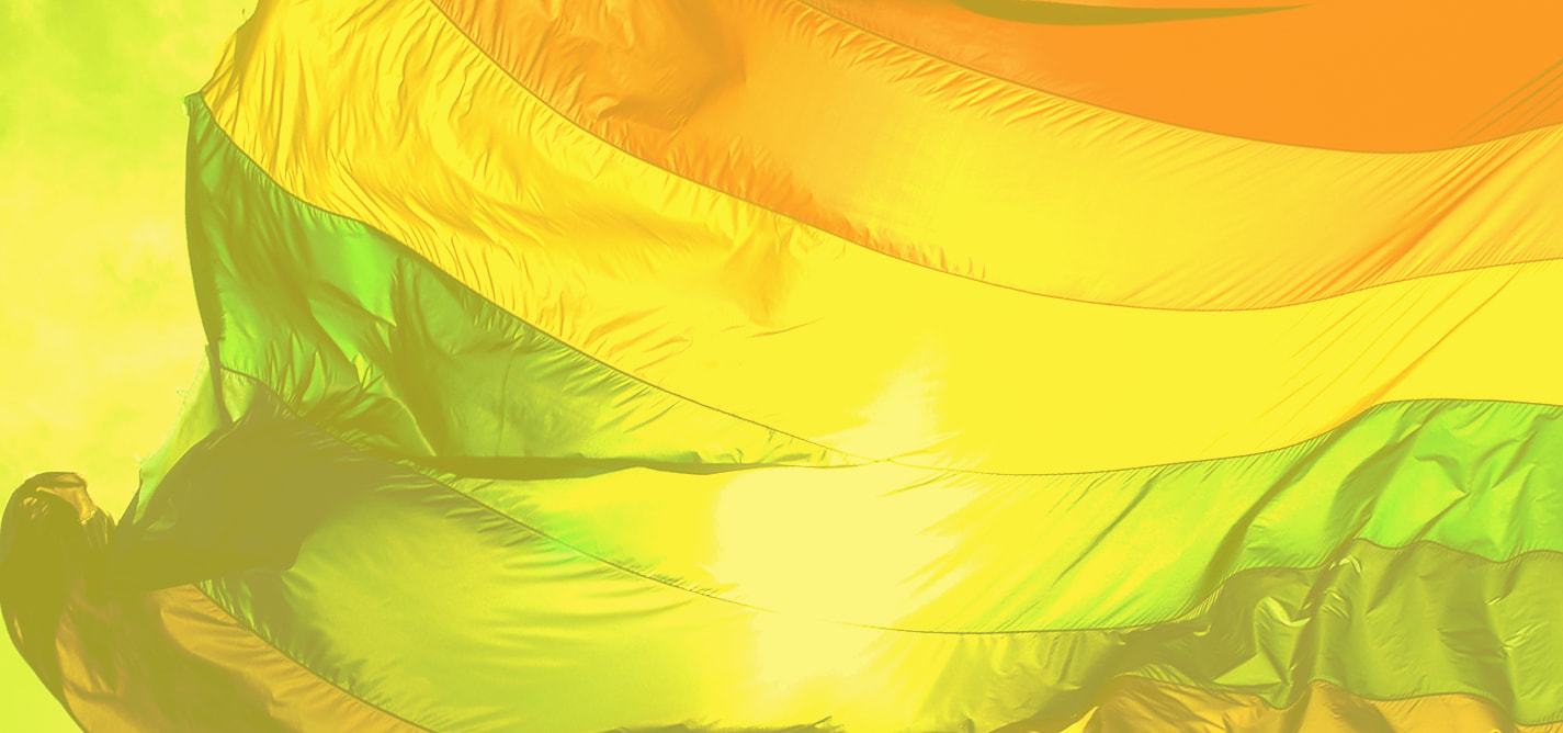 Çështjet e mëdha zgjedhore: Të drejtat e personave LGBTI