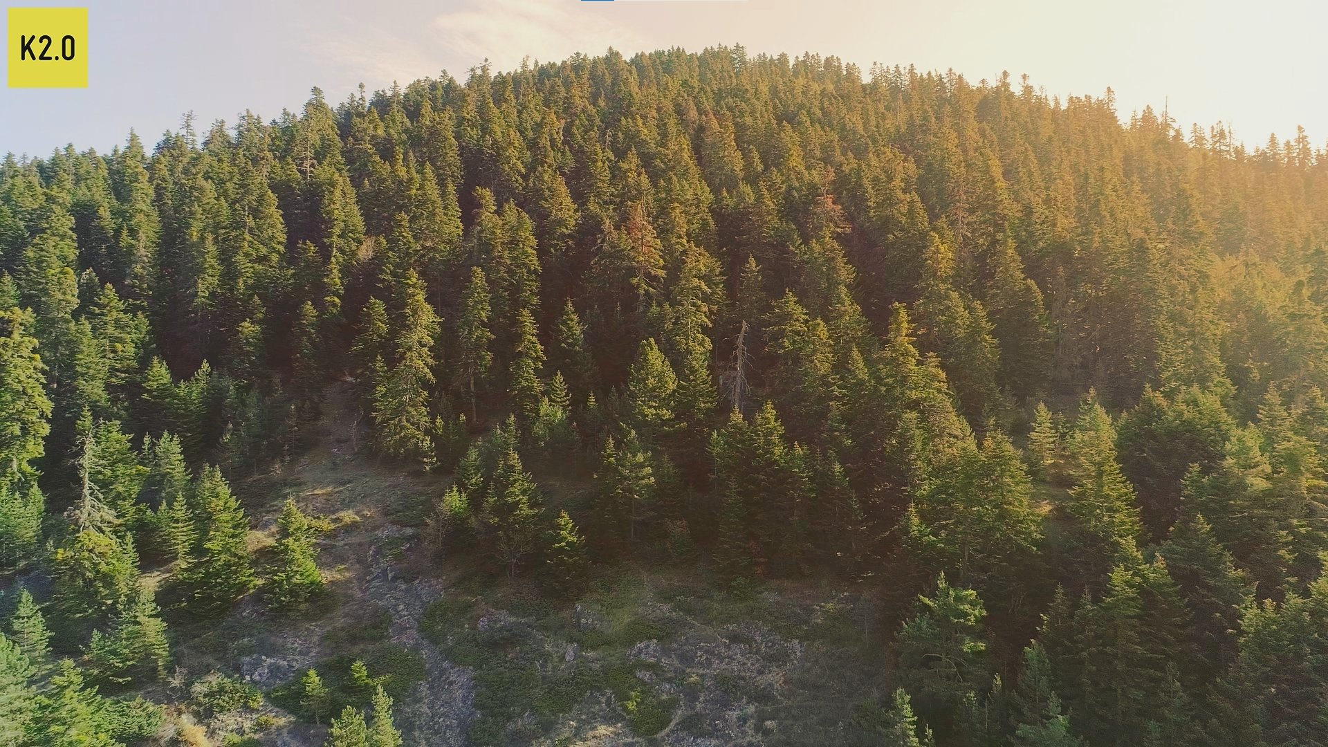 Kosovo's forests are dying faster than we knew