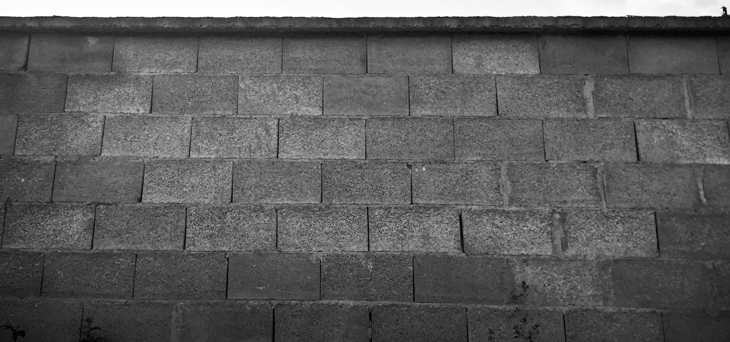 Nën hijen e “X-it”