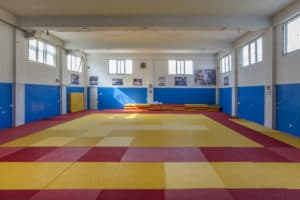 Domovi kosovskog sporta