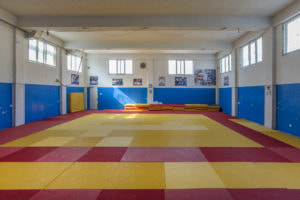 Domovi kosovskog sporta