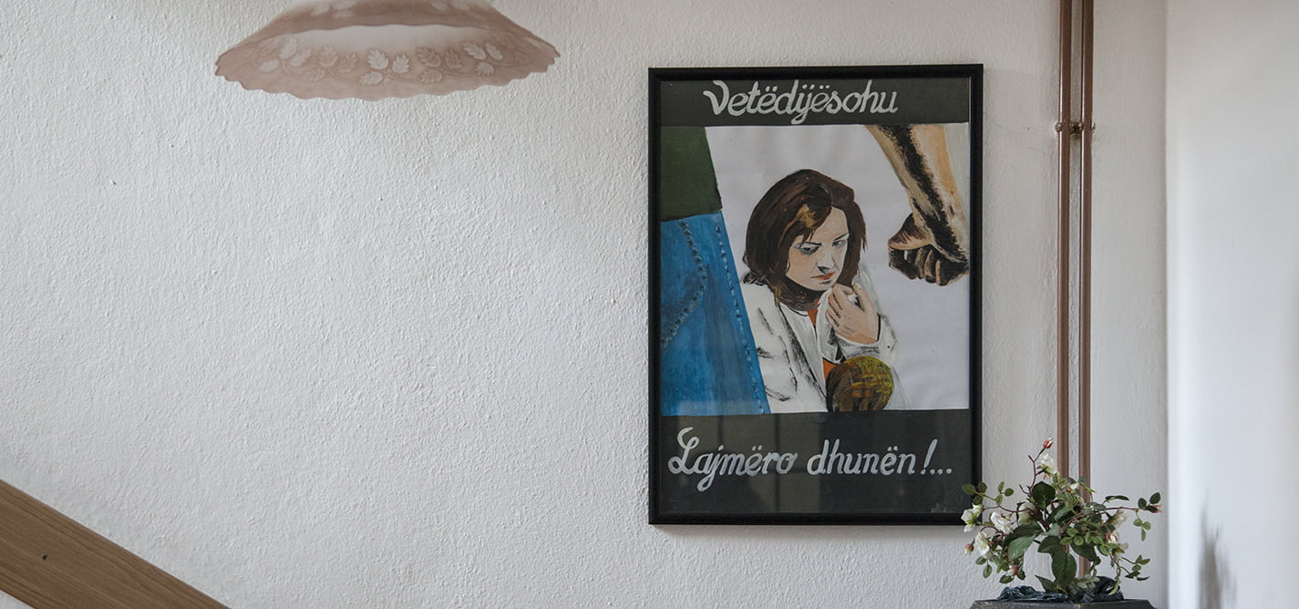 Riintegrimi i viktimave të dhunës në familje