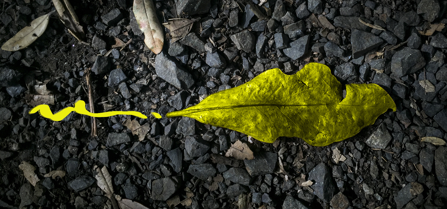 K2.0 launches fellowship program in human rights based journalism