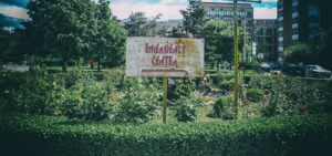 Zdravstvo stavljeno pod lupu