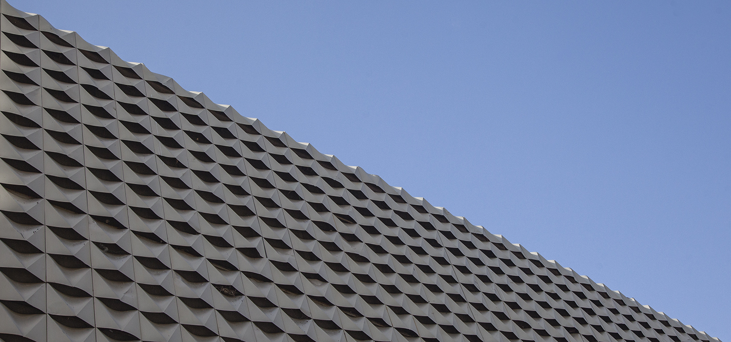 Polemikat për "Gërminë" sinjalizojnë se ka ndarje në opinione për zhvillimin e Prishtinës