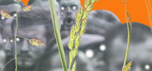 Stvaranje kulture za narodne mase