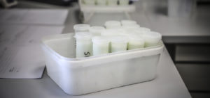 Nesigurnost hrane na Kosovu ugrožava javno zdravlje