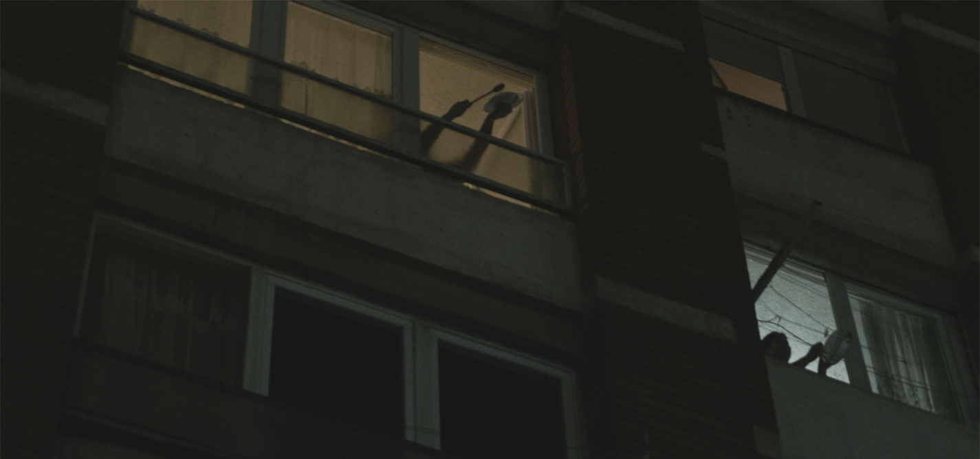 A COVID-19 diary in prose