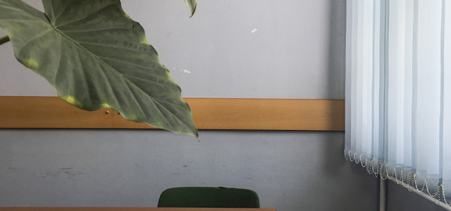 From mother to daughter: The feminization of poverty