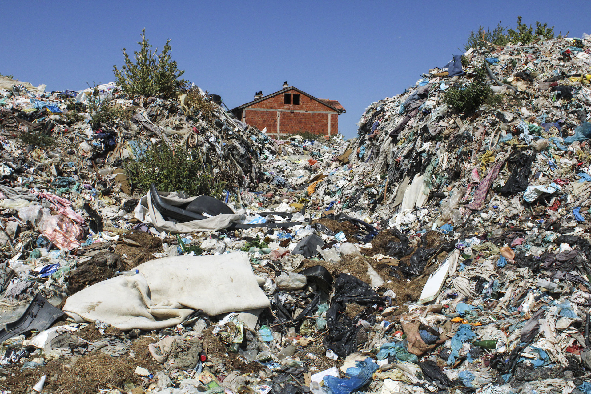 Kontaminirani život