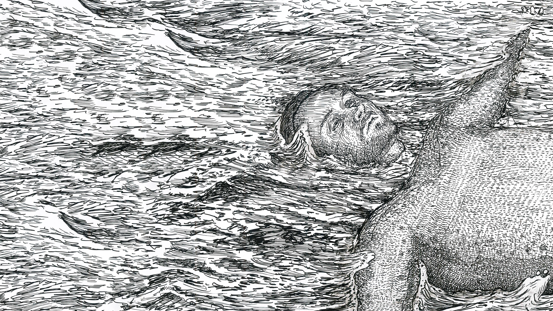 Zhytje nate me Rumi-n