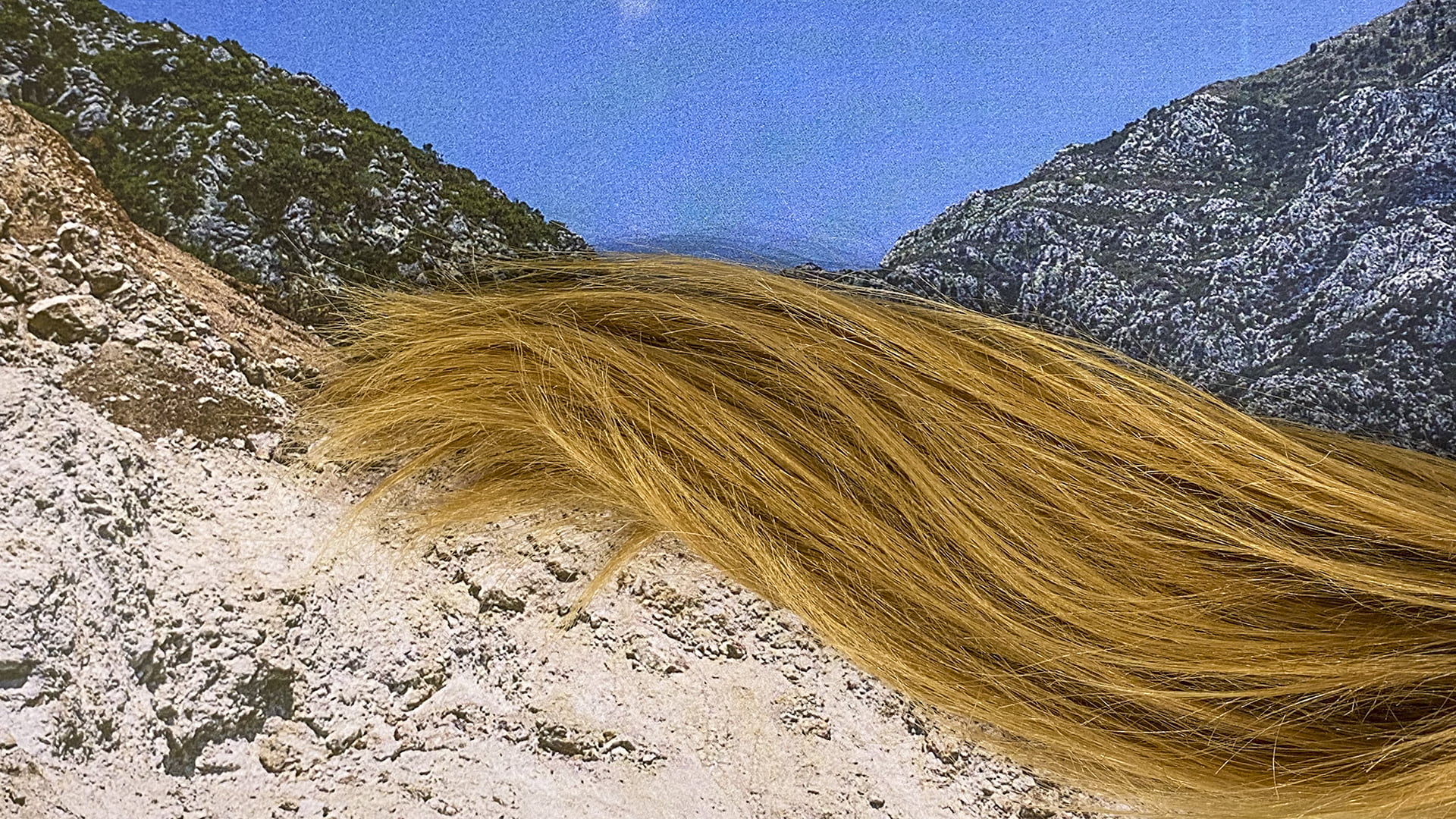 Sklonite se s puta ženama iz energetskog sektora