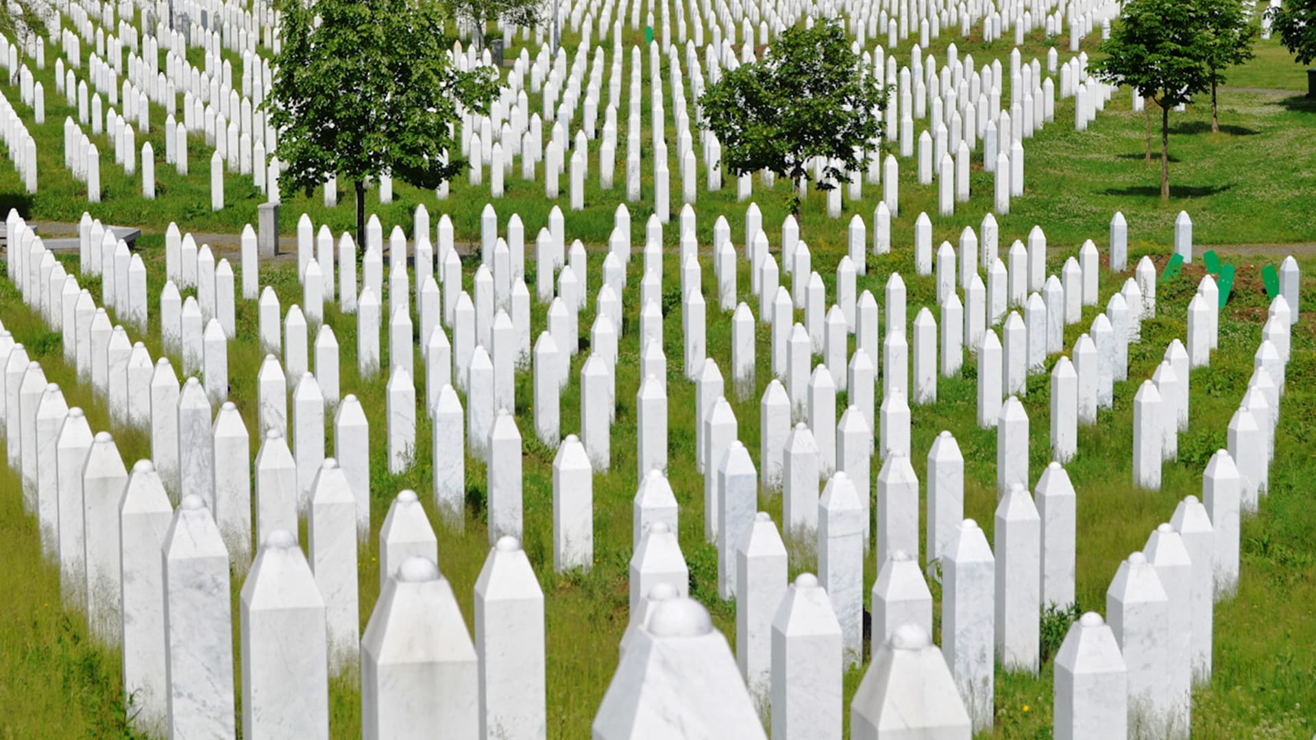 Never again, but nothing has changed