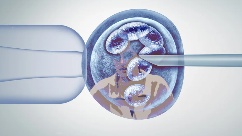 Rreth baballarëve dhe patriarkëve