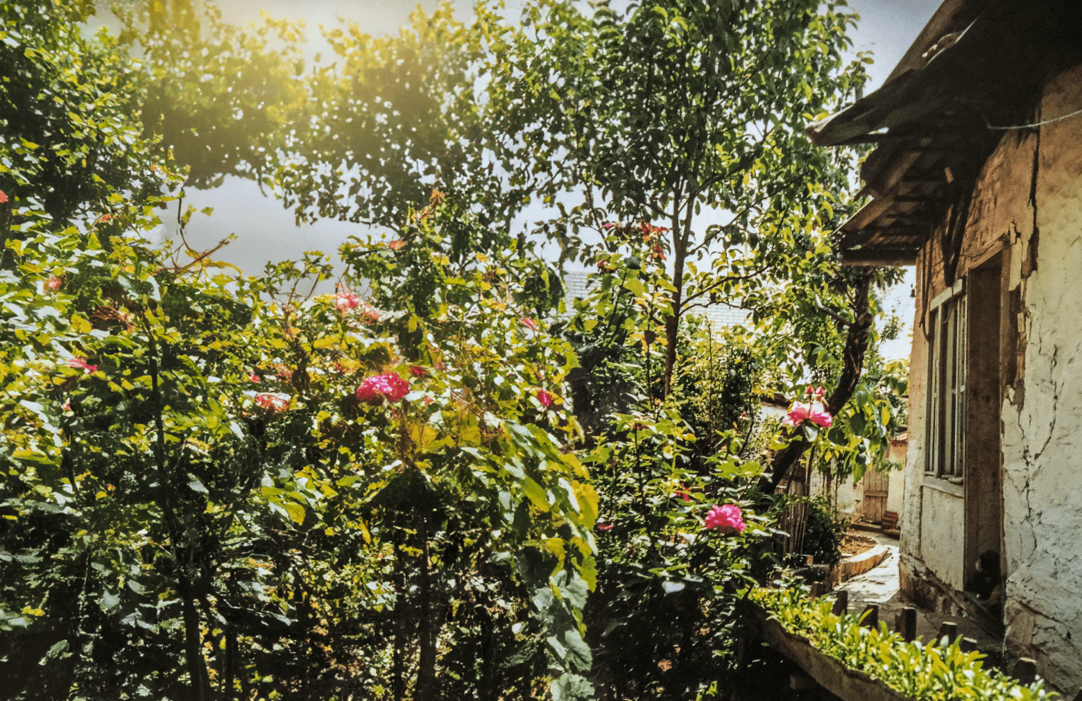 Body abroad, mind in Kosovo