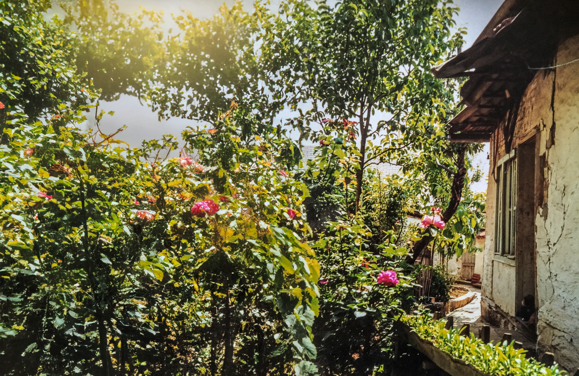 Shtëpinë në mërgim, mendjen në Kosovë