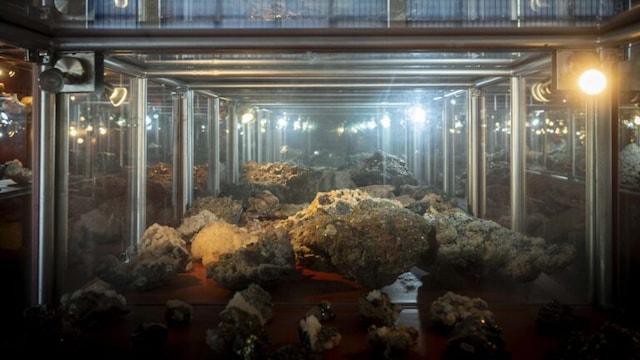 In photos: The history of Trepça through crystals