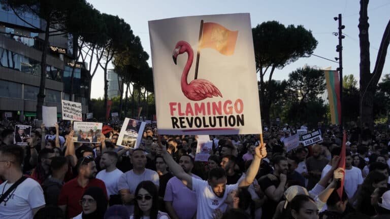 Lufta e qeverisë kundër flamingove